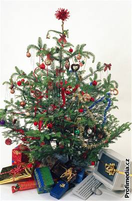 Vánoní stromek