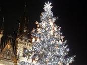 Vánoní strom na Staromtském námstí v Praze.