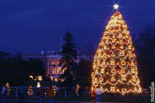 Vánoní strom ped Bílým domem, Washington, USA
