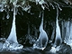 Ledov "trpaslci" na Hamerskm potoce