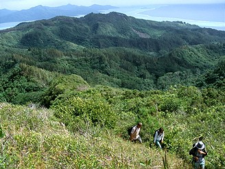 Ostrov Raiatea