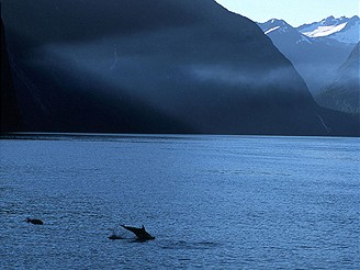 Milford Sound