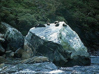 Milford Sound