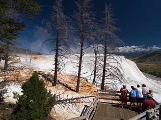 Yellowstonsk nrodn park, Mammoth Hot Springs