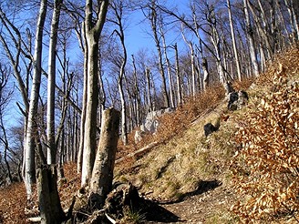 Mal Karpaty, Slovensko