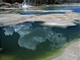 Yellowstonsk nrodn park, Norris Geyser Basin