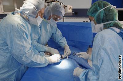 Své orgány nechce k transplantaci poskytnout 650 ech. Ilustraní foto