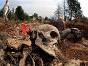 Masový hrob u Srebrenice