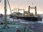 Nisin Maru je hlavní lo japonské velrybáské flotily. Ped dvma týdny na ní uhoel jeden z len posádky