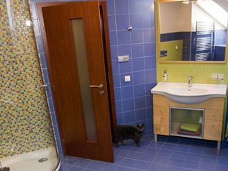 Koupelna v modrm kabt