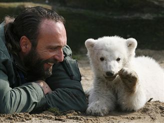 Ledn medvdek Knut v berlnsk zoo