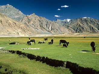 Ladakh