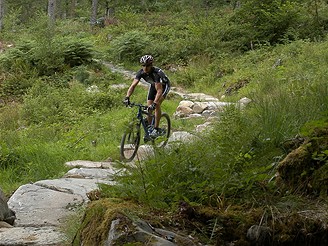 Speciln cesta pro cyklisty ve Walesu (singletrack).