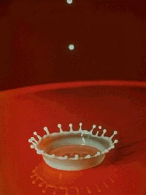 Kapka mléka dopadající na rozpálený kov (Harold Eugene Edgerton)