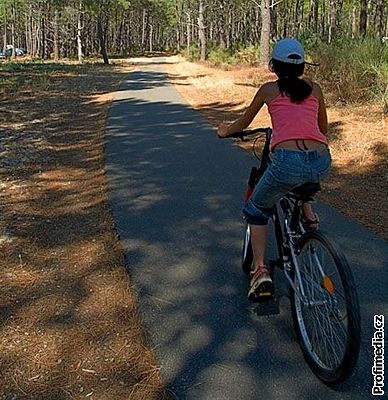 Cyklistka na afaltové cyklostezce