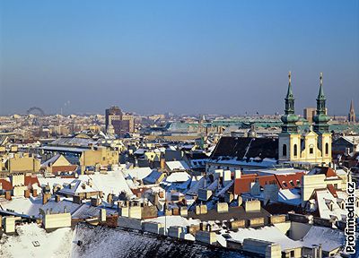 Jedním z mst, kde by Rakouský dopravní klub rád zavedl mýtné, je Víde