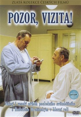DVD Pozor, vizita!