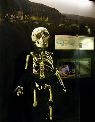 Kostra neandertálského dítte