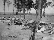 Tla mrtvých Armén v Turecku, rok 1915