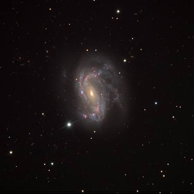Galaxie NGC 4051, v jejím stedu je erná díra