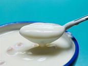 Pravidelný píjem kvalitních jogurt pomáhá pi redukci nadváhy.