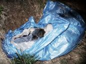 Neznámý mrtvý byl nalezen v pytli zabalen spolen s obleením, poltái, dekami a saunovacím pásem.