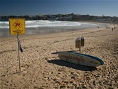 Bondi beach