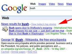 Google Search - bush