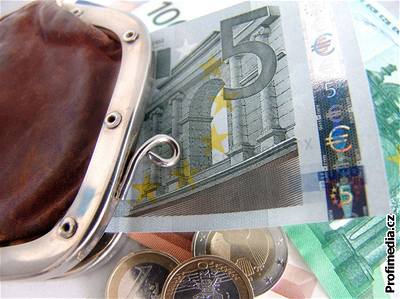 Slováci budou podle premiéra Fica platit eurem v roce 2009. EU to vak nepotvrdila.
