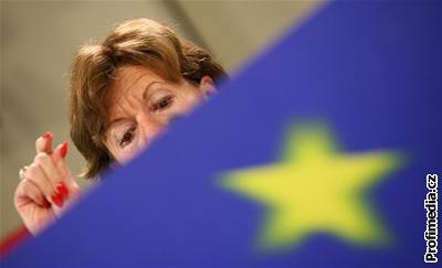 Brusel uloil Telefónice pokutu dominantního postavení na trhu. Eurokomisaka Neelie Kroesová tvrdí, e firma pokodila celou panlskou ekonomiku.