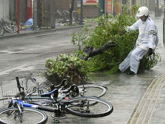 Siln vtr vyvracel stromy, pevracel nejen bicykly, ale i nkladn auta.