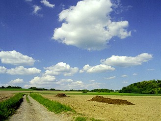 Trenckova rokle