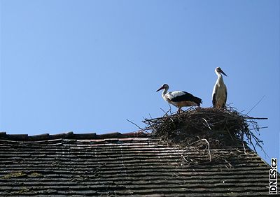 Chorvatsko, Lonjsko Polje