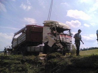 Nehoda kamionu s pskem u Plzn