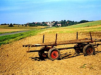 Zemědělství určuje ráz záhorské krajiny