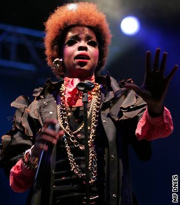 Americká zpvaka Lauryn Hill vystoupila 28. ervence v praské Stromovce na mezinárodním hudebním festivalu Music in the Park