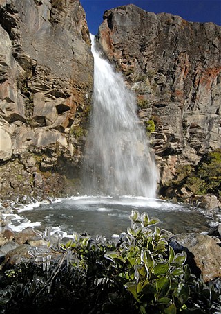 Nový Zéland