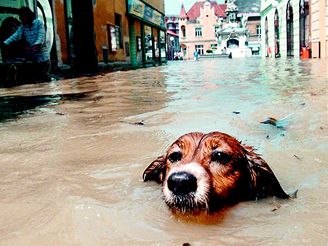 Prostední ulice v Uherském Hraditi se psem na slavné fotce Petra Joska z Reuters.