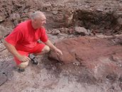 Stavební mistr Jan Vlach ukazuje kus zkamenlého stromu nalezený pi stavb Lidlu v Nové Pace.