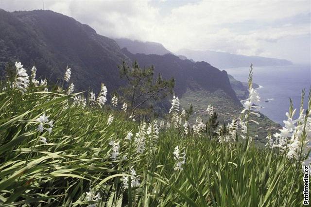 Ostrov uprosted Atlantiku - Madeira