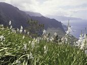 Madeira Madeira
