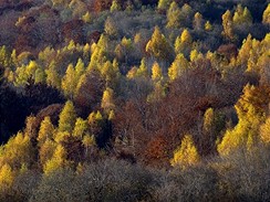 Slovensko, Bukovsk vrchy