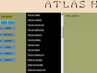 Atlas hub