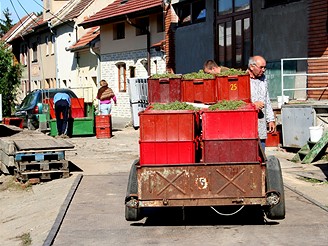 Vlet burkovm expresem