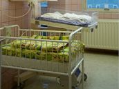 Nemocnice oznámila, e provila vechny postupy na porodnickém a novorozeneckém oddlení, aby se podobný pípad neopakoval.