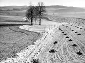 Milo Spurný - Bysticko na Vysoin (1956)