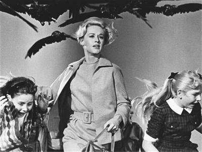 Ptáci (1963) - Tippi Hedren