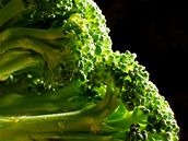 Brokolice a dalí koálová zelenina dokáe sníit zánty vyvolané psobením UV záení.