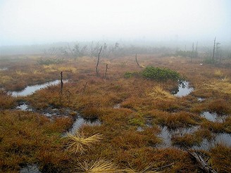 Vlet na Jizeru