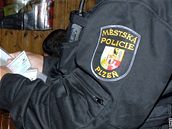 strážníci, městská policie, Plzeň, ilustrace strážníci, městská policie, Plzeň, ilustrace
